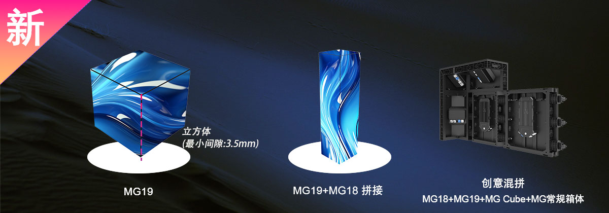 新成员：MG19